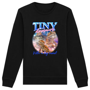 Tiny Dinosaurs - Organic Sweatshirt