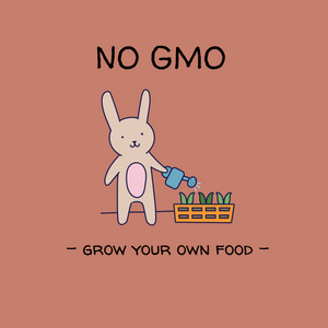 No GMO - Organic Cotton Onesie - Oat Milk Club